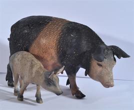 Lotto 163 - Scrofa pelata