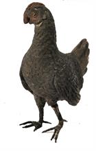 Lotto 156 - Gallina