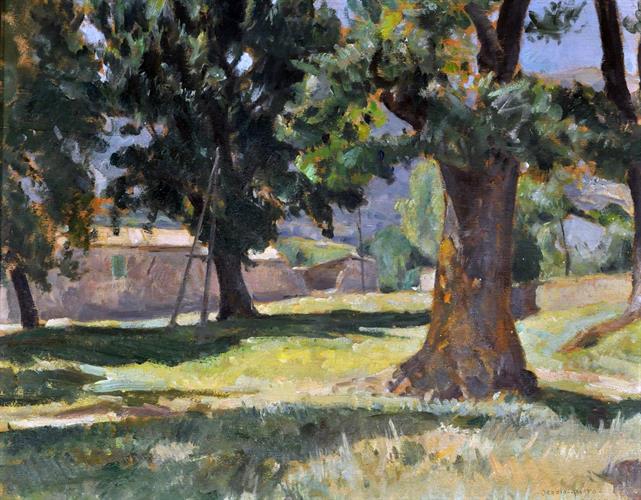 Lotto 19 - Amato Orazio