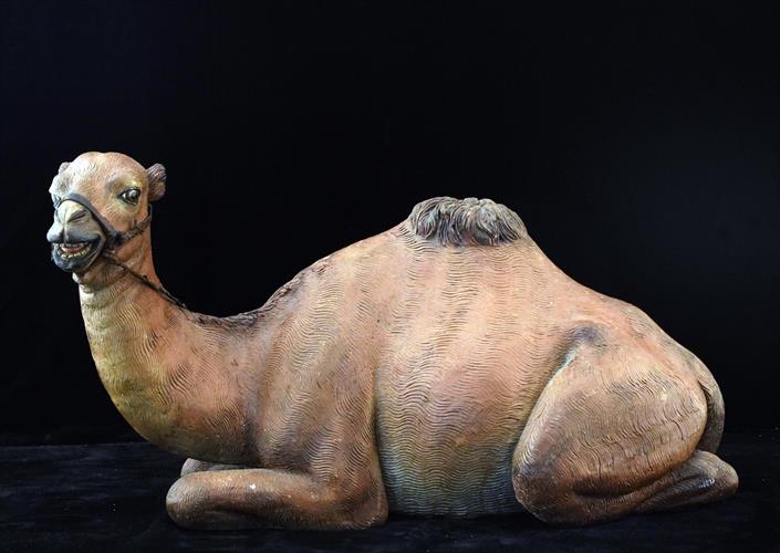 Lotto 25 - Dromedario