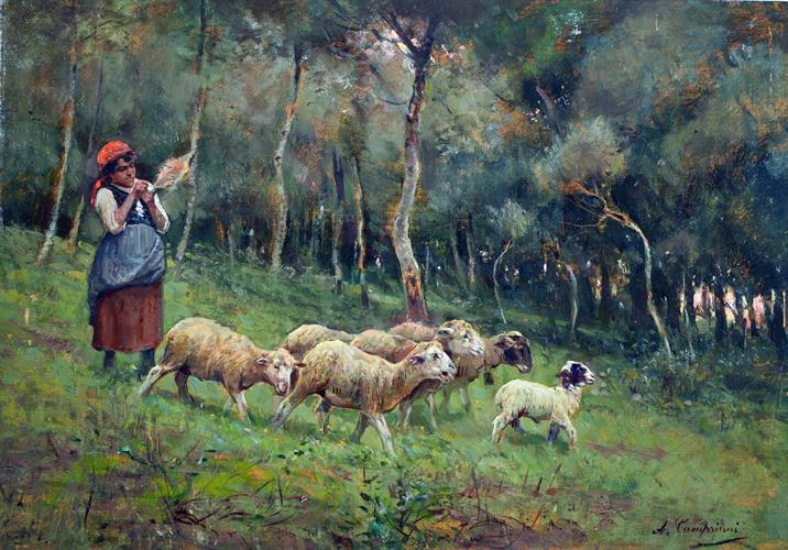 Lotto 36 - Campriani Alceste