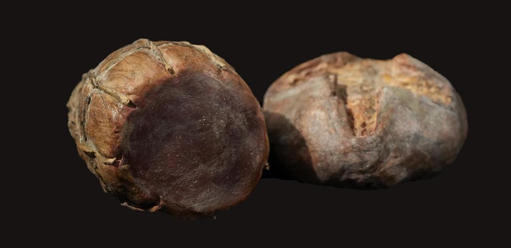 Lotto 202 - Accessori vari