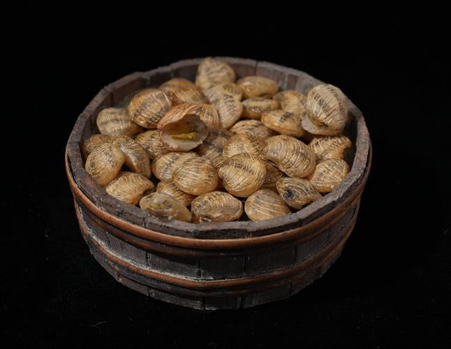 Lotto 212 - Cestino con vongole