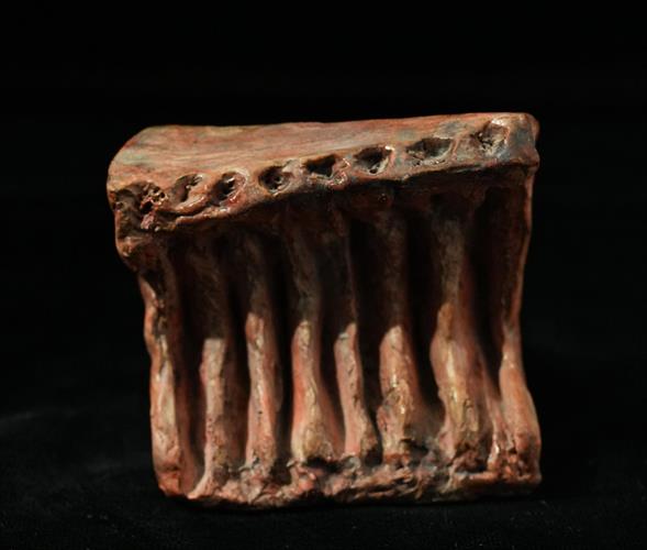 Lotto 215 - Pezzo di carne