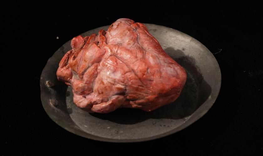 Lotto 231 - Cuore di animale