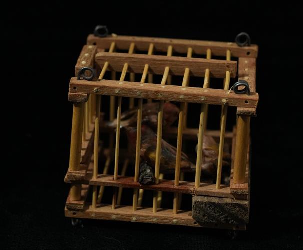 Lotto 241 - Gabbietta con cardellini