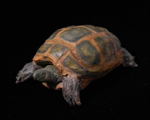 Lotto 250 - Tartaruga