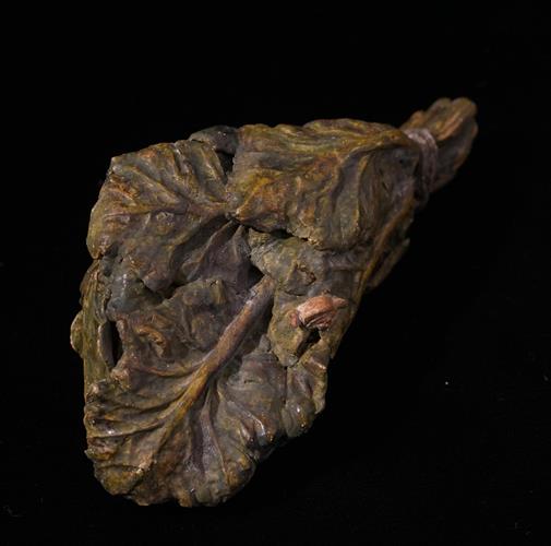 Lotto 255 - Fascio di verdure con lumaca